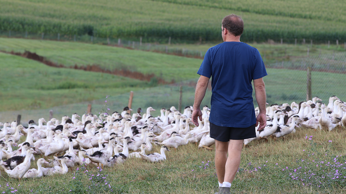 Crise aviaire : Le Département poursuivra son effort de solidarité