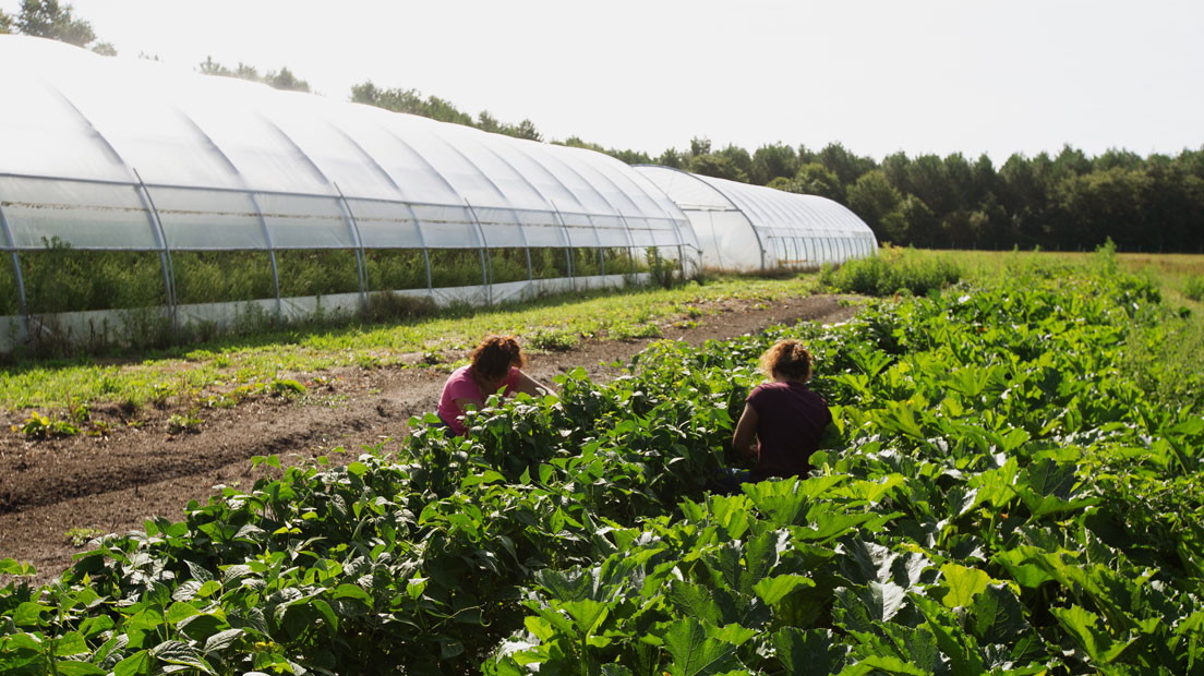 Tester son projet d&rsquo;installation mara&icirc;ch&egrave;re, c&rsquo;est possible avec ETAL40
