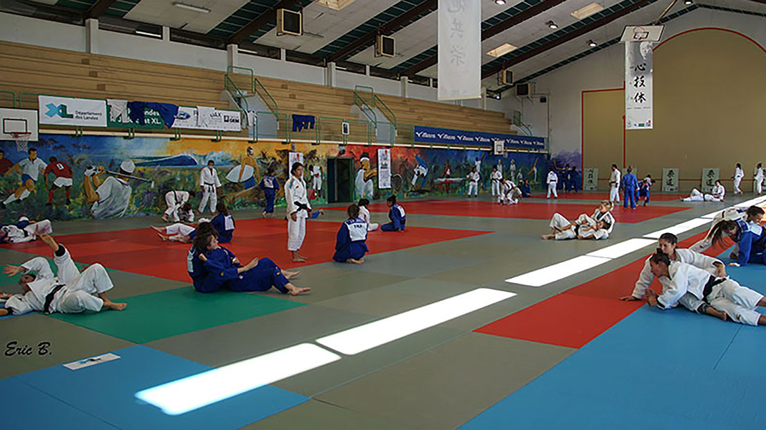 Les Landes sportives en route vers les JO-2024