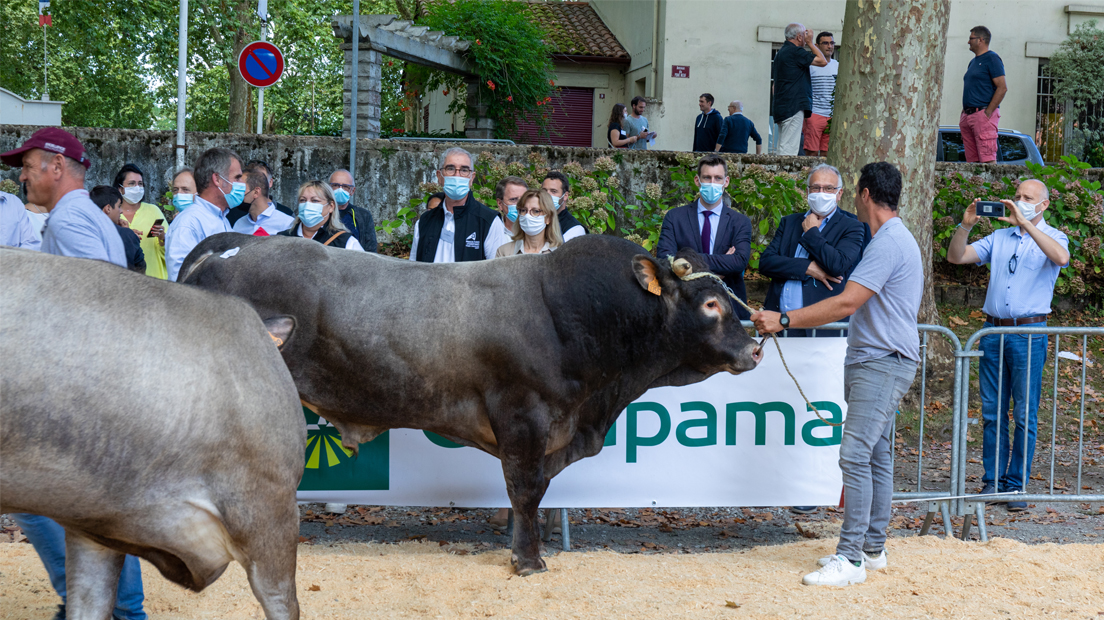 &Agrave; Amou, une journ&eacute;e aux c&ocirc;t&eacute;s des &eacute;leveurs landais