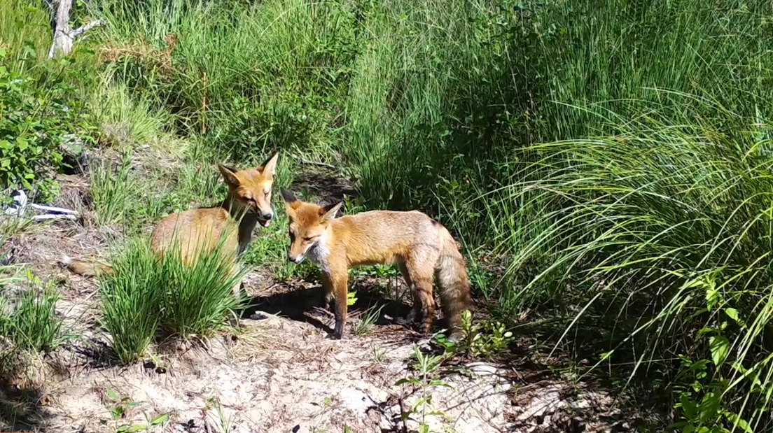 Sur le vif : dans la vallée de la Petite Leyre