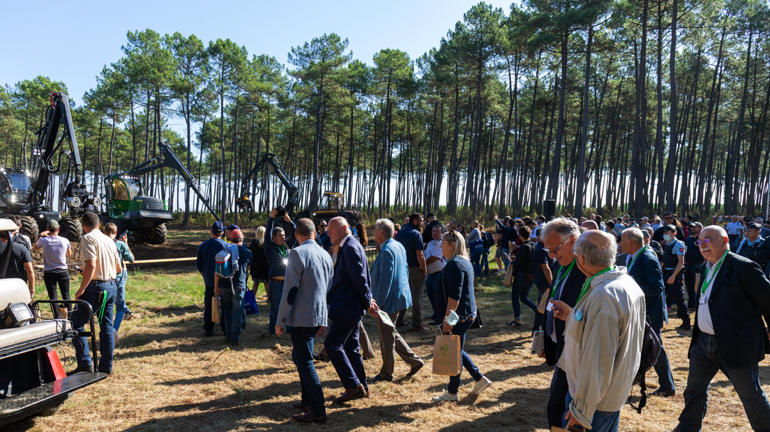Forexpo, au c&oelig;ur de la for&ecirc;t, la for&ecirc;t au c&oelig;ur