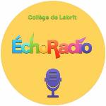 Web-radio du Collège de Labrit